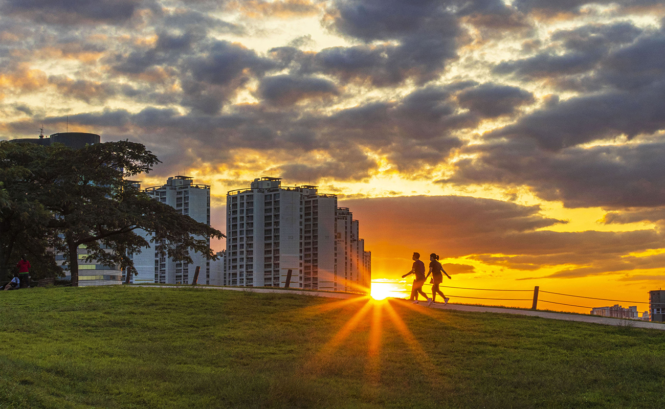 에코힐링 프리미엄